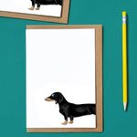 Dog Notelet Cards Gift Box