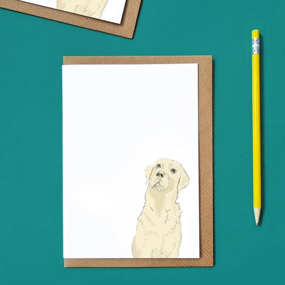 Dog Notelet Cards Gift Box