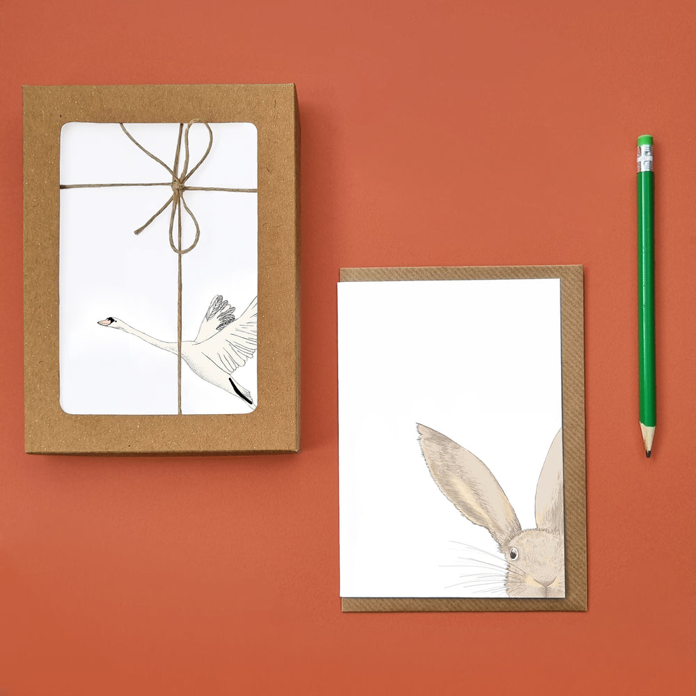 Animal Notelet Cards Gift Box