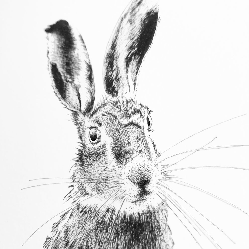Hare Print 'The Runners no.2'
