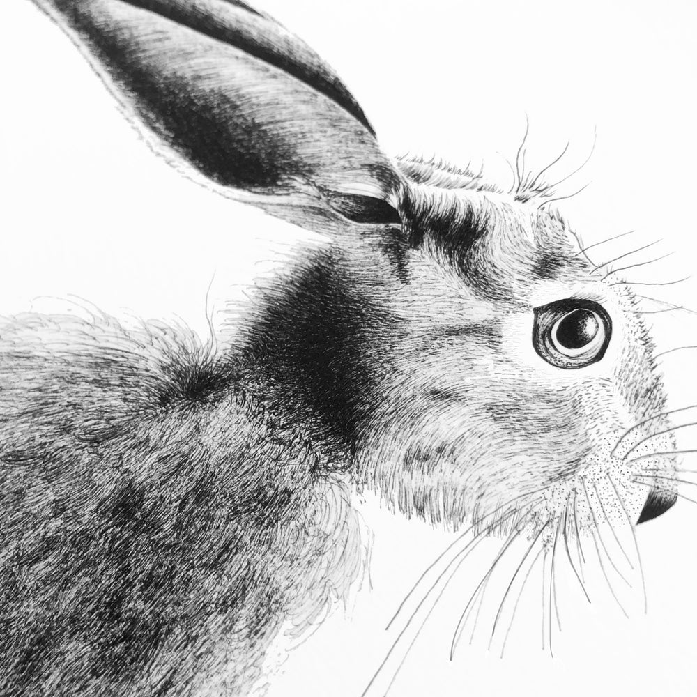 Hare Print 'The Runners no.5'