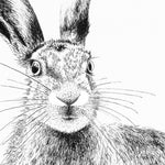 Hare Print ‘The Runner’s no.8’