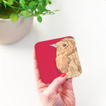 Robin Coaster