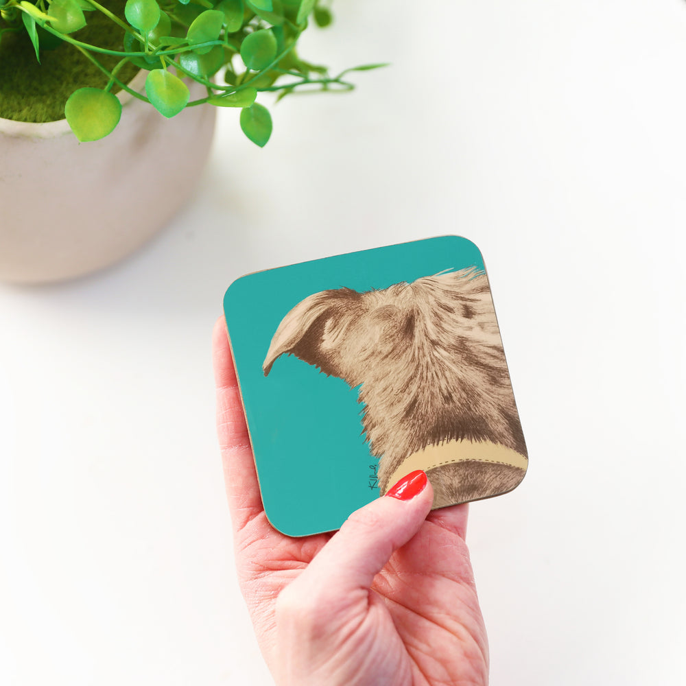 Dog Coaster