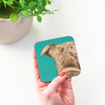 Dog Coaster