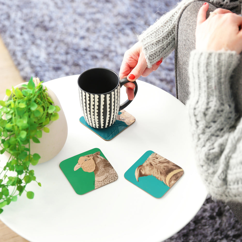 Dog Coaster